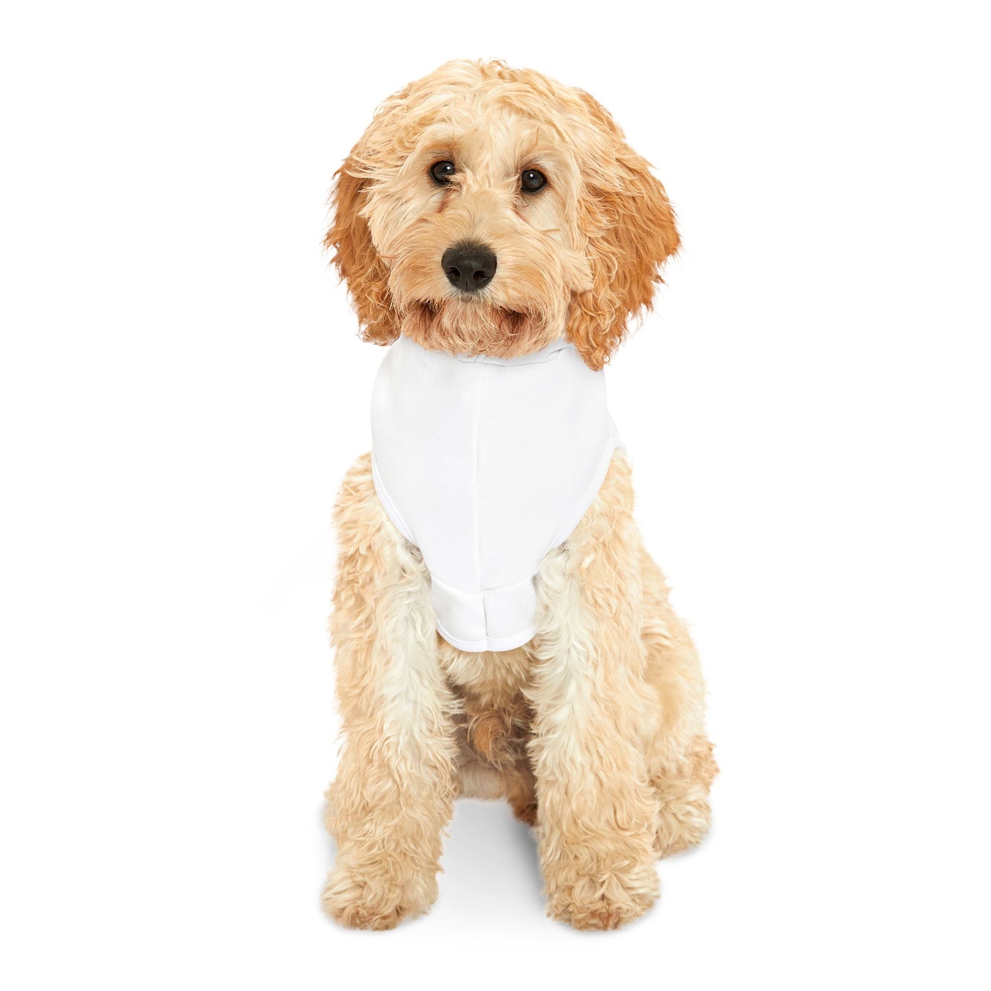 Dummy Light - Dog Sweatshirt for Small to Medium Pets