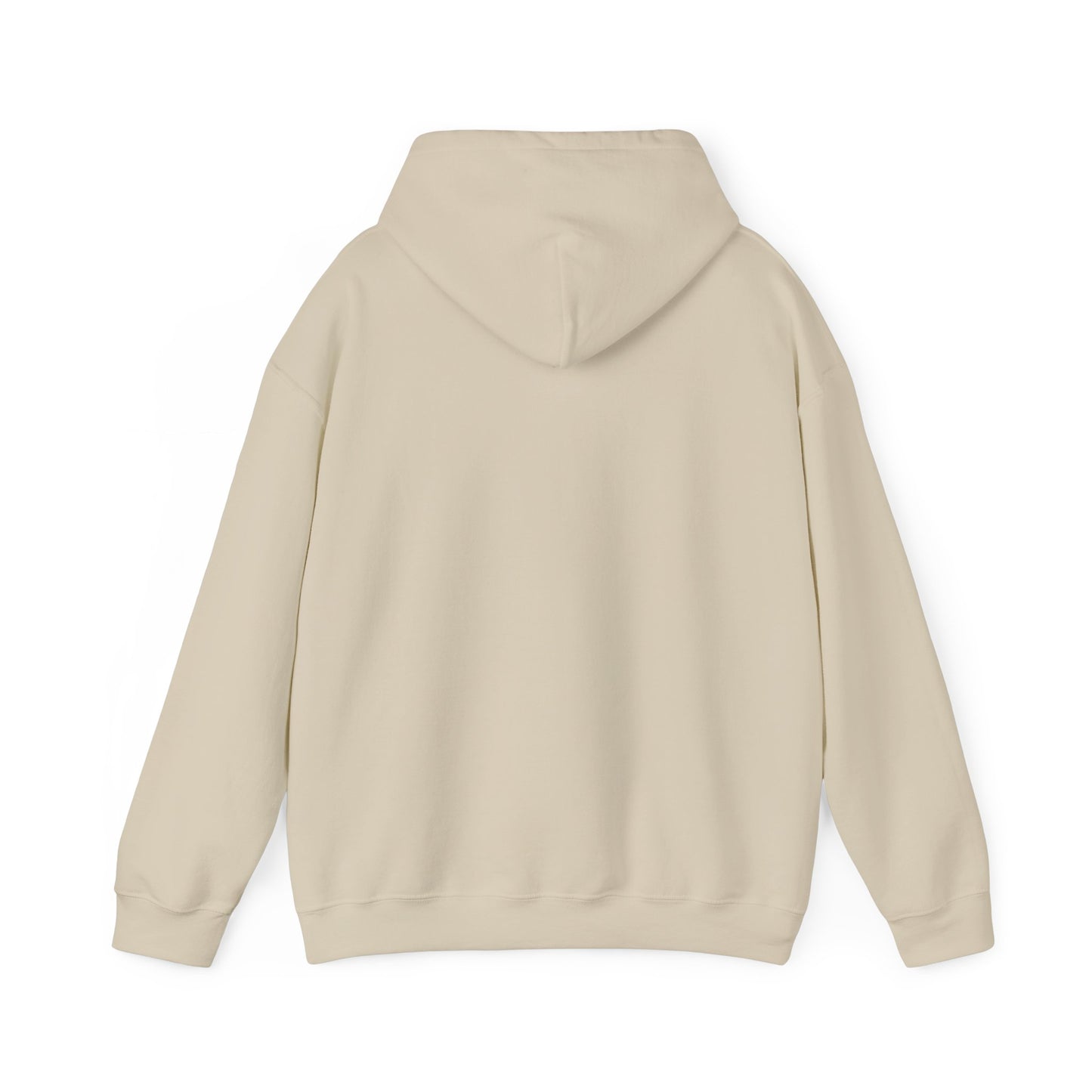 10520 if you know, you know unisex hoodie