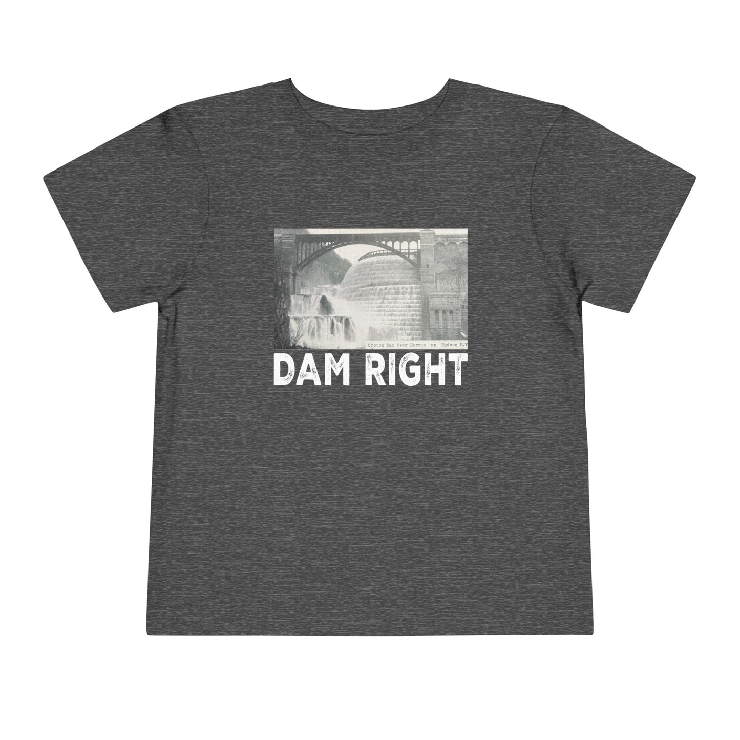 DAM RIGHT toddler / teen? tee