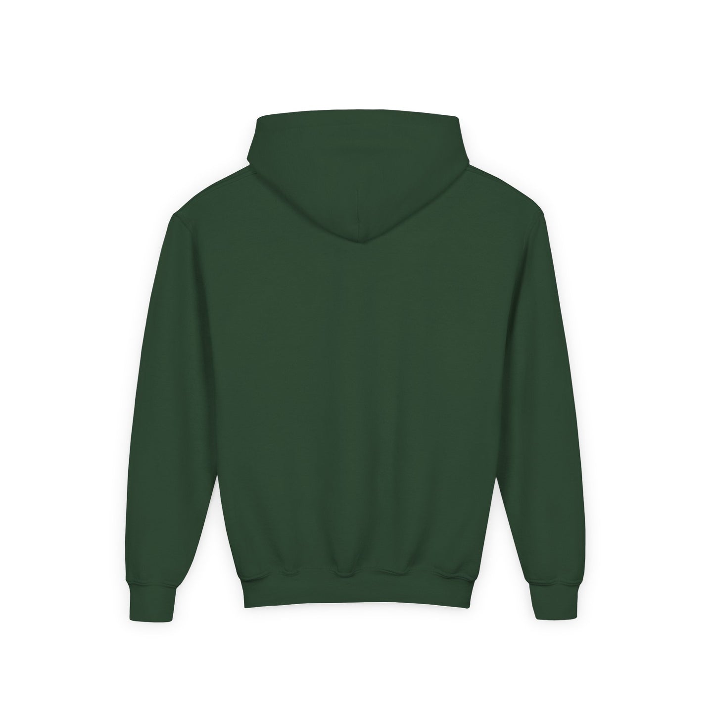 Senasqua Park Croton-on-Hudson Kids Hoodie