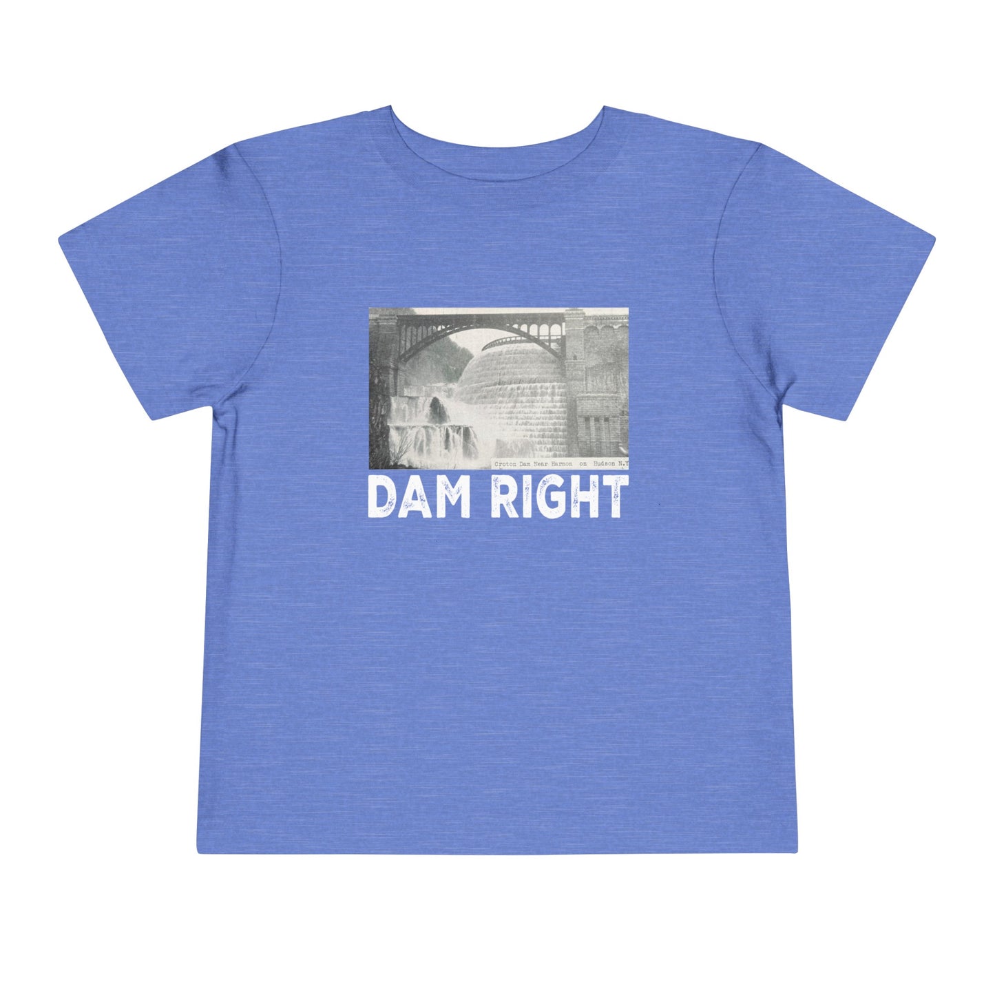 DAM RIGHT toddler / teen? tee