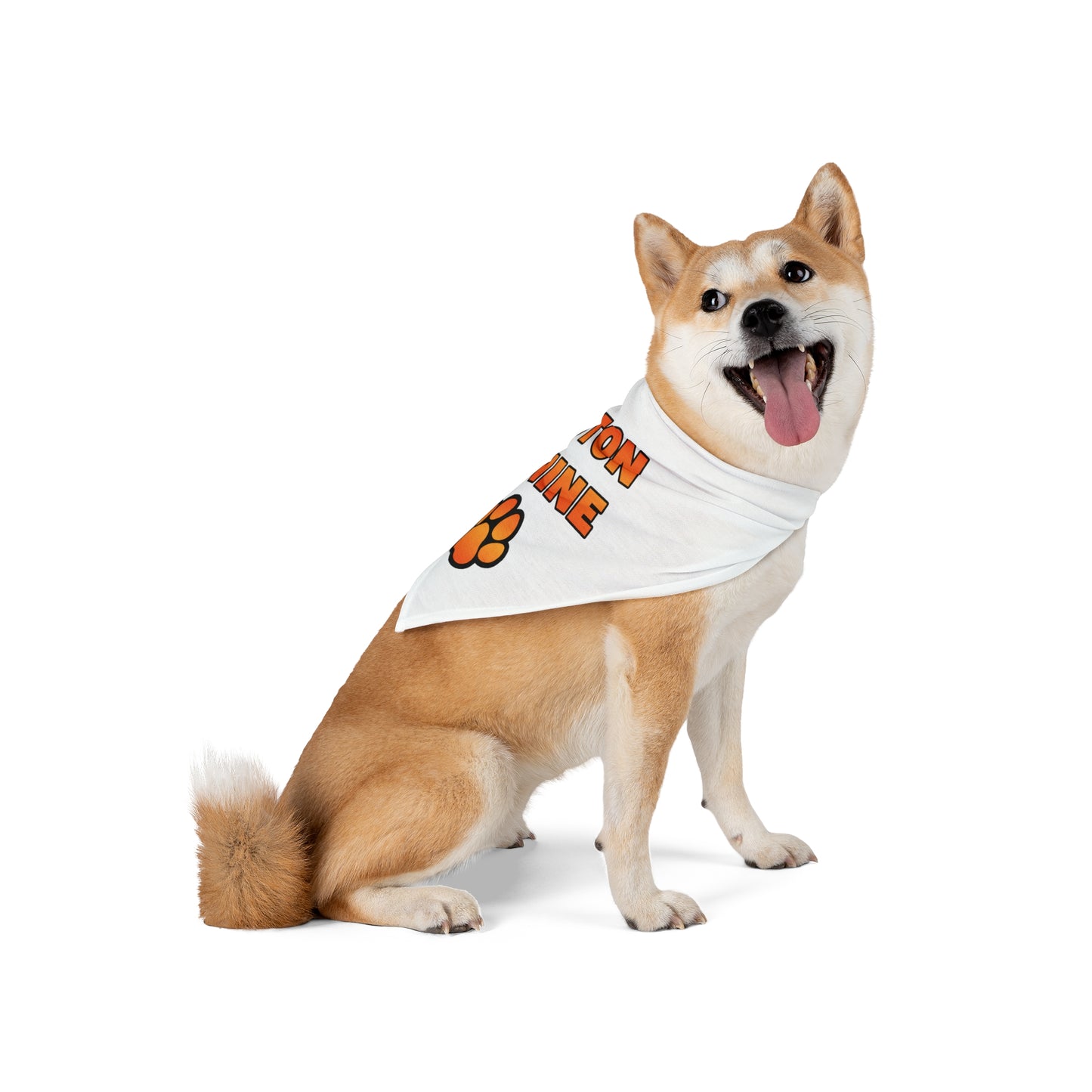Croton Canine / Dog Bandana