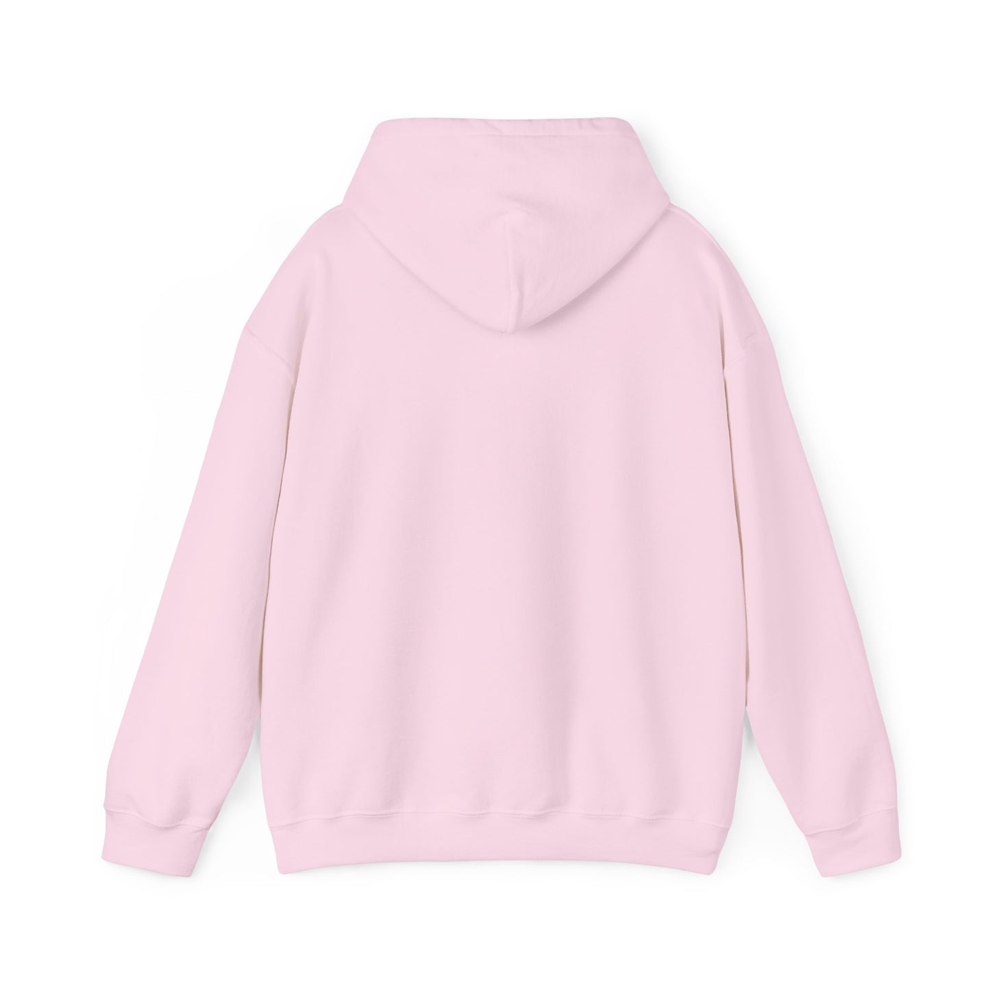 10520 if you know, you know unisex hoodie