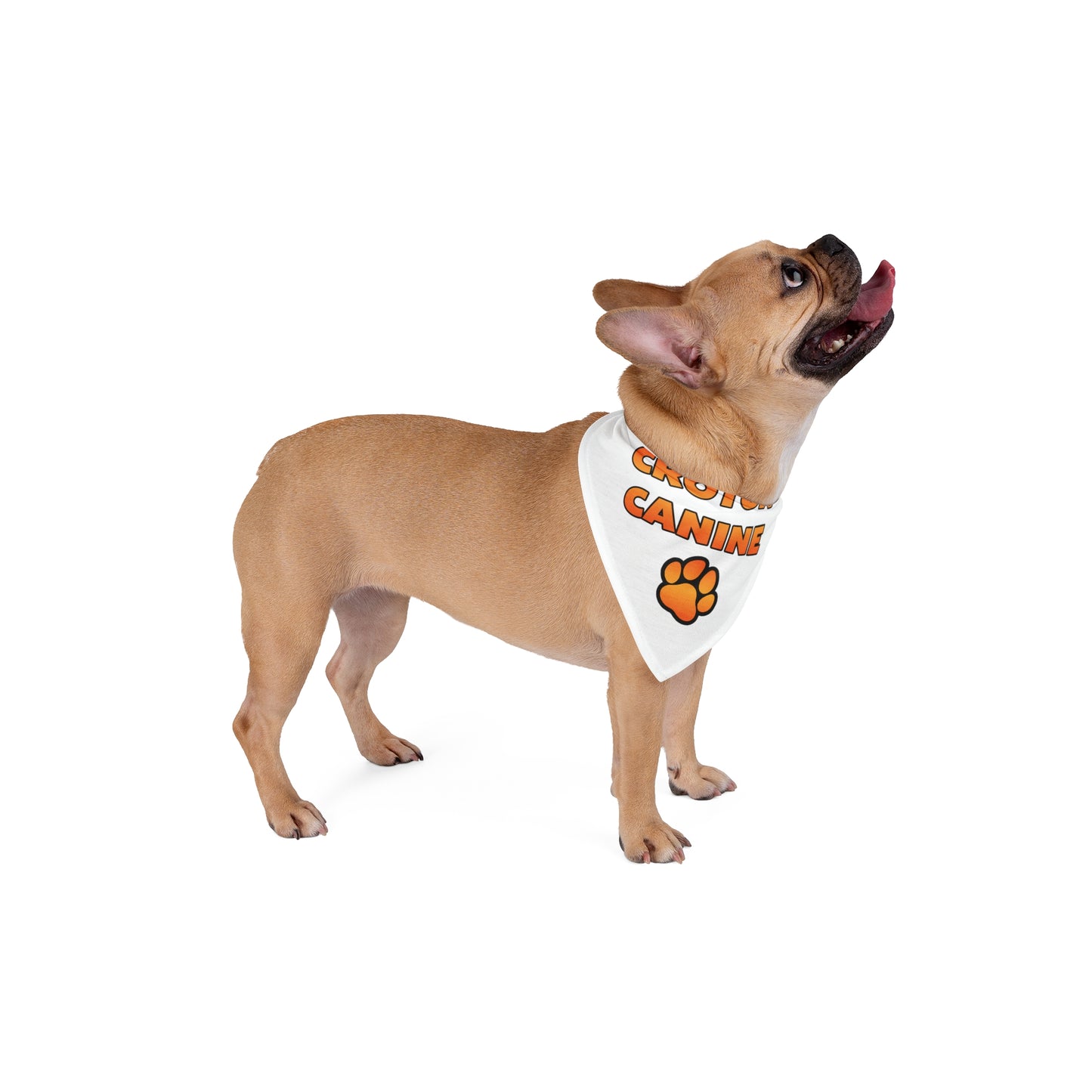 Croton Canine / Dog Bandana