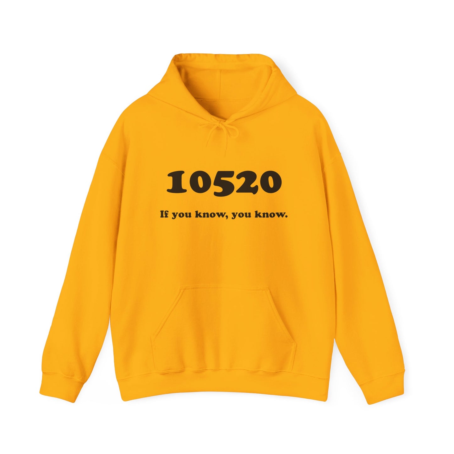 10520 if you know, you know unisex hoodie
