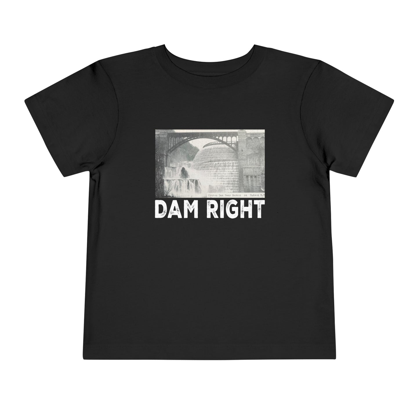 DAM RIGHT toddler / teen? tee