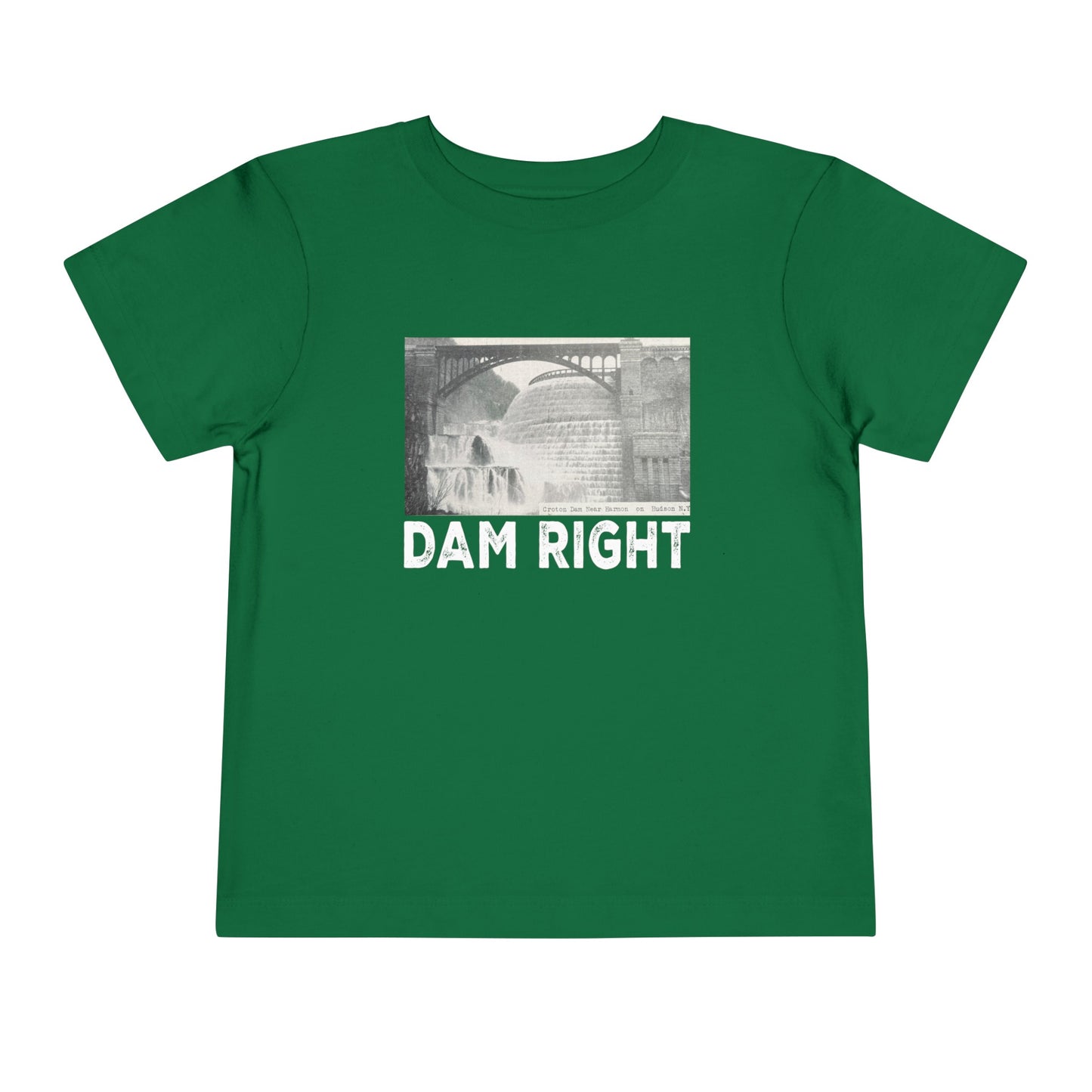 DAM RIGHT toddler / teen? tee