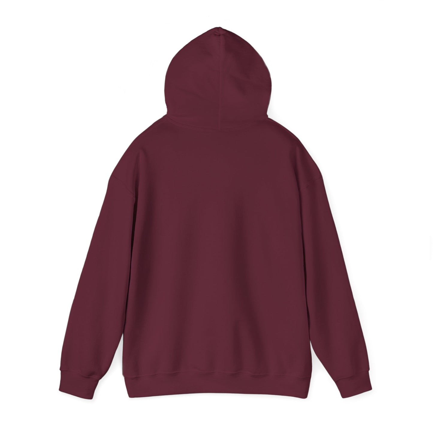 DAM CLASS 2025 Hoodie (Pullover/Unisex)