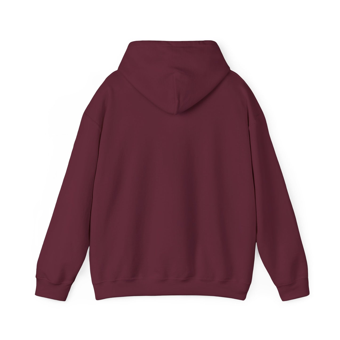 DAM CLASS 2025 Hoodie (Pullover/Unisex)