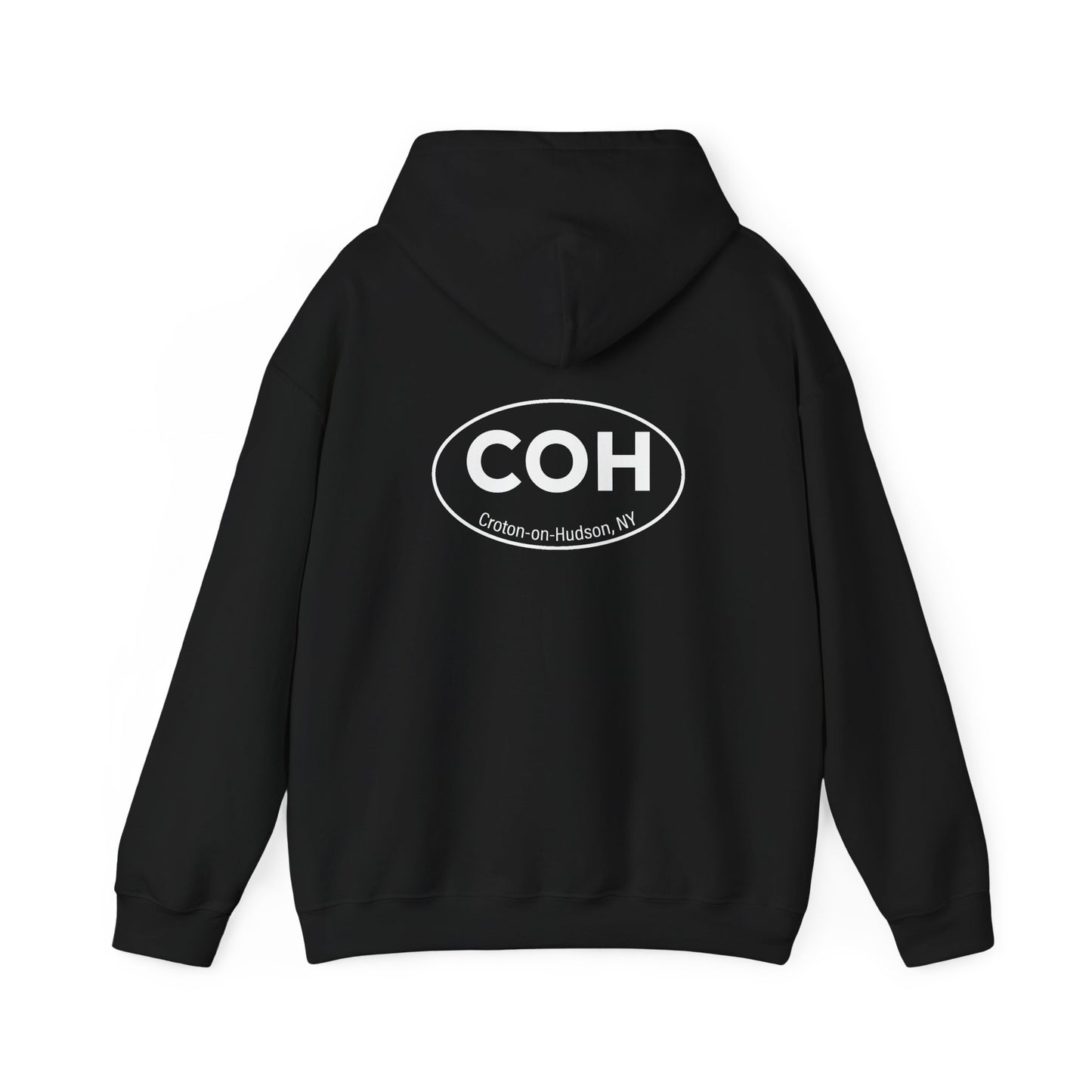 DAMNED pullover unisex hoodie / COH back