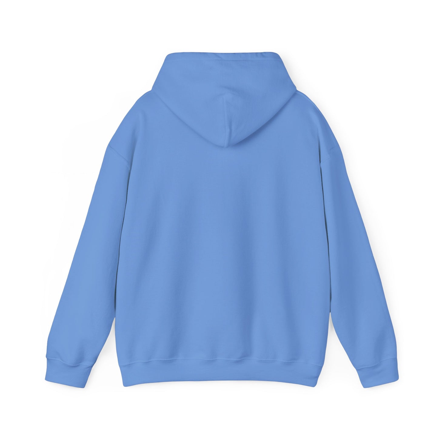 10520 if you know, you know unisex hoodie