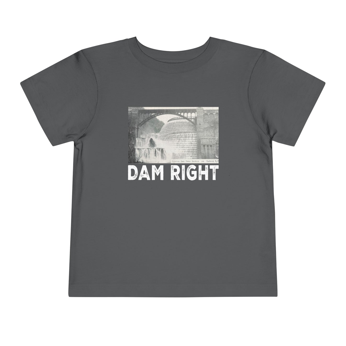 DAM RIGHT toddler / teen? tee