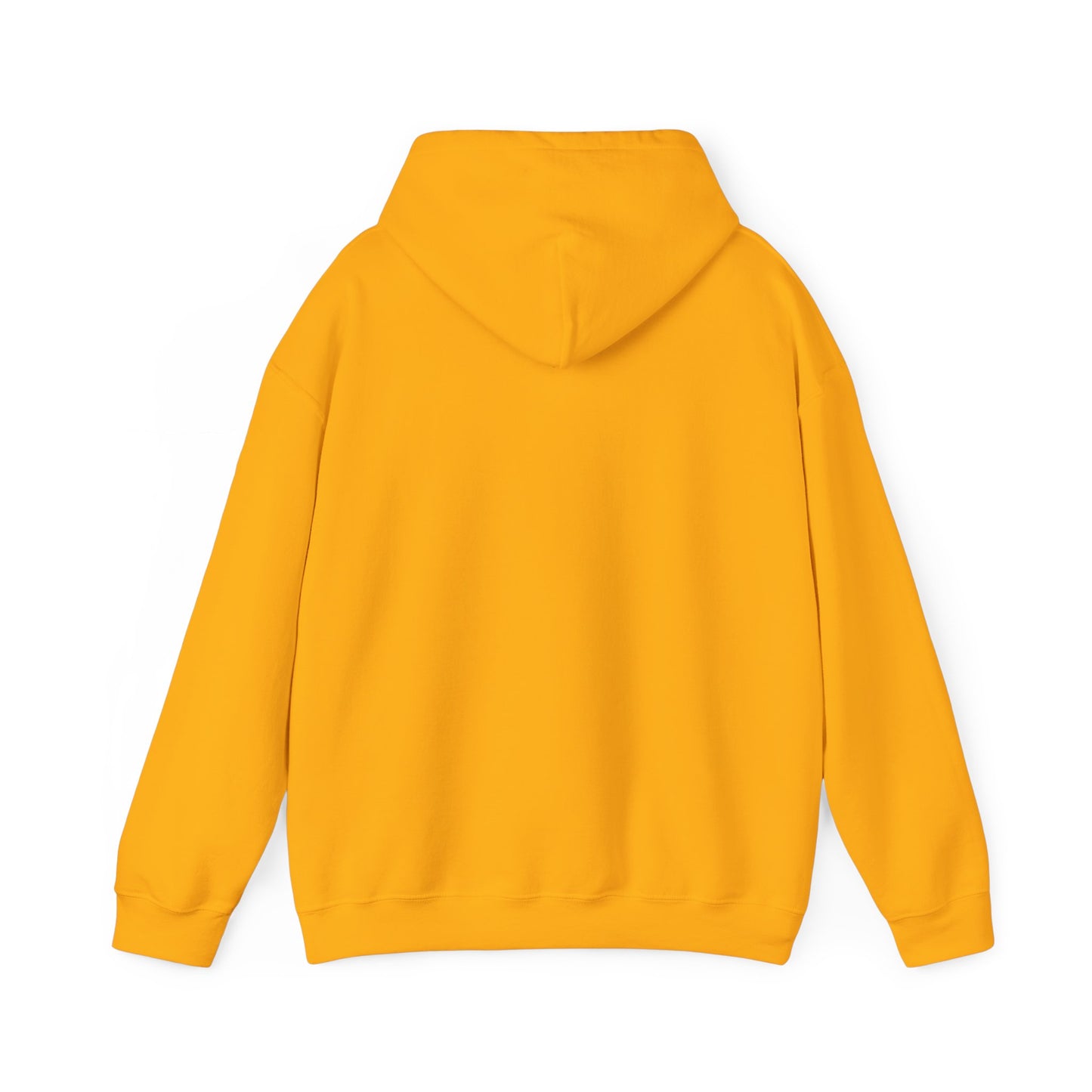 10520 if you know, you know unisex hoodie