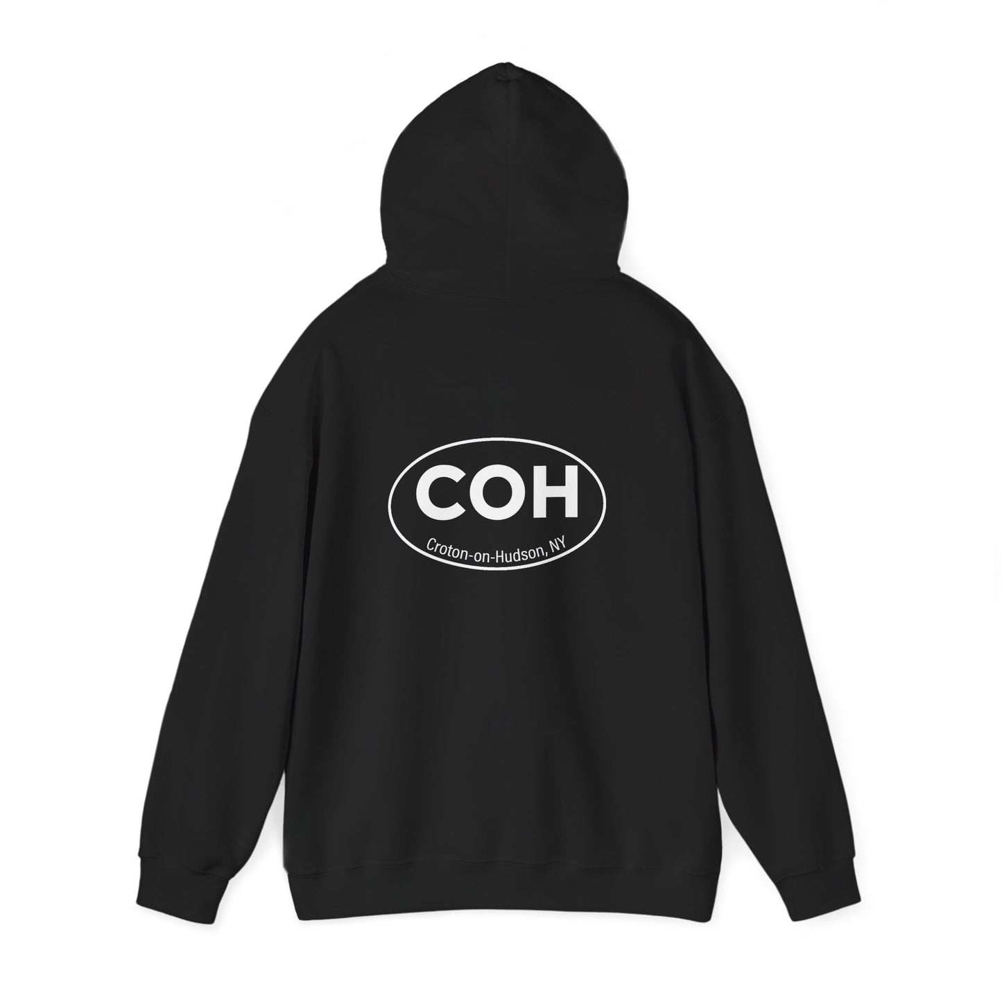 DAMNED pullover unisex hoodie / COH back