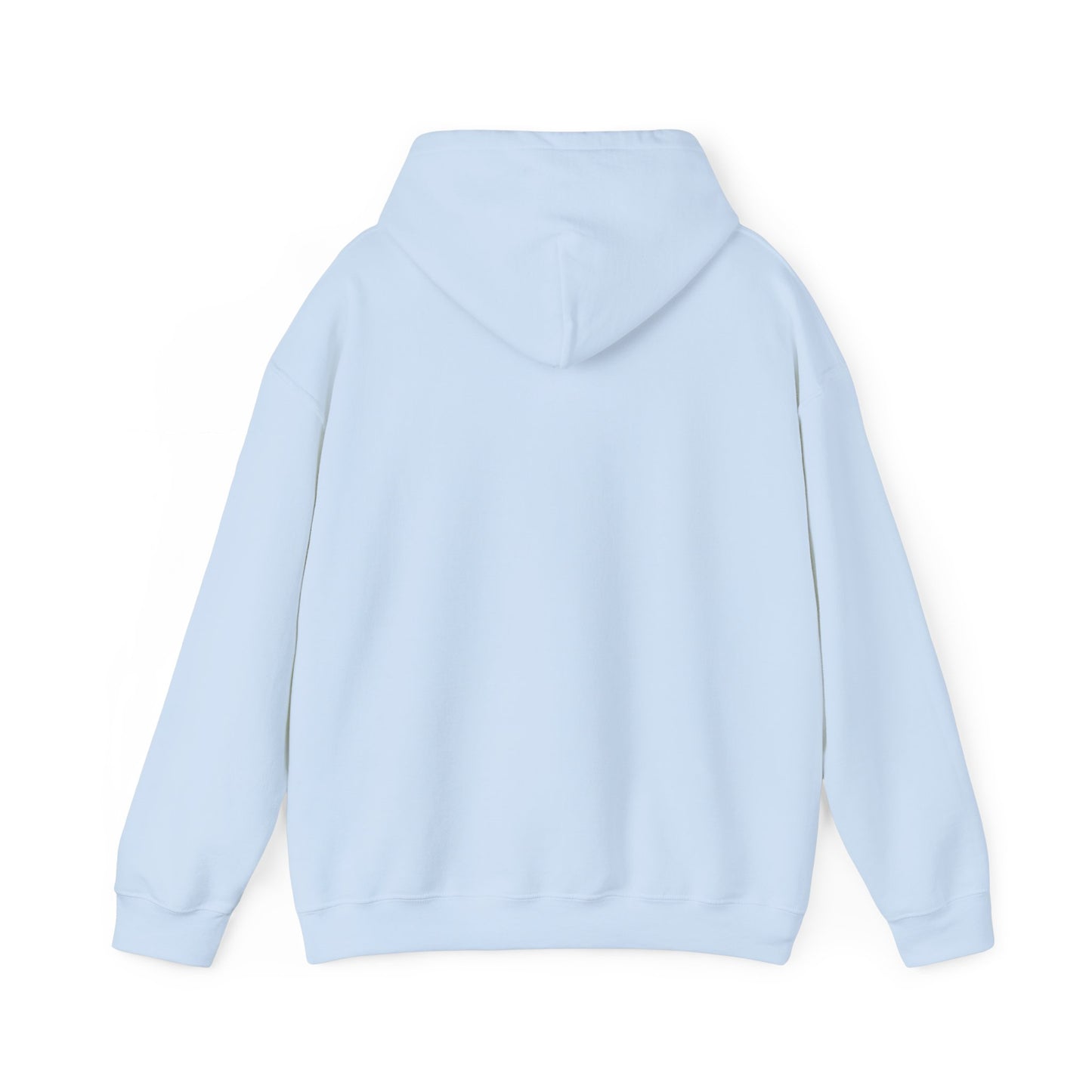 10520 if you know, you know unisex hoodie
