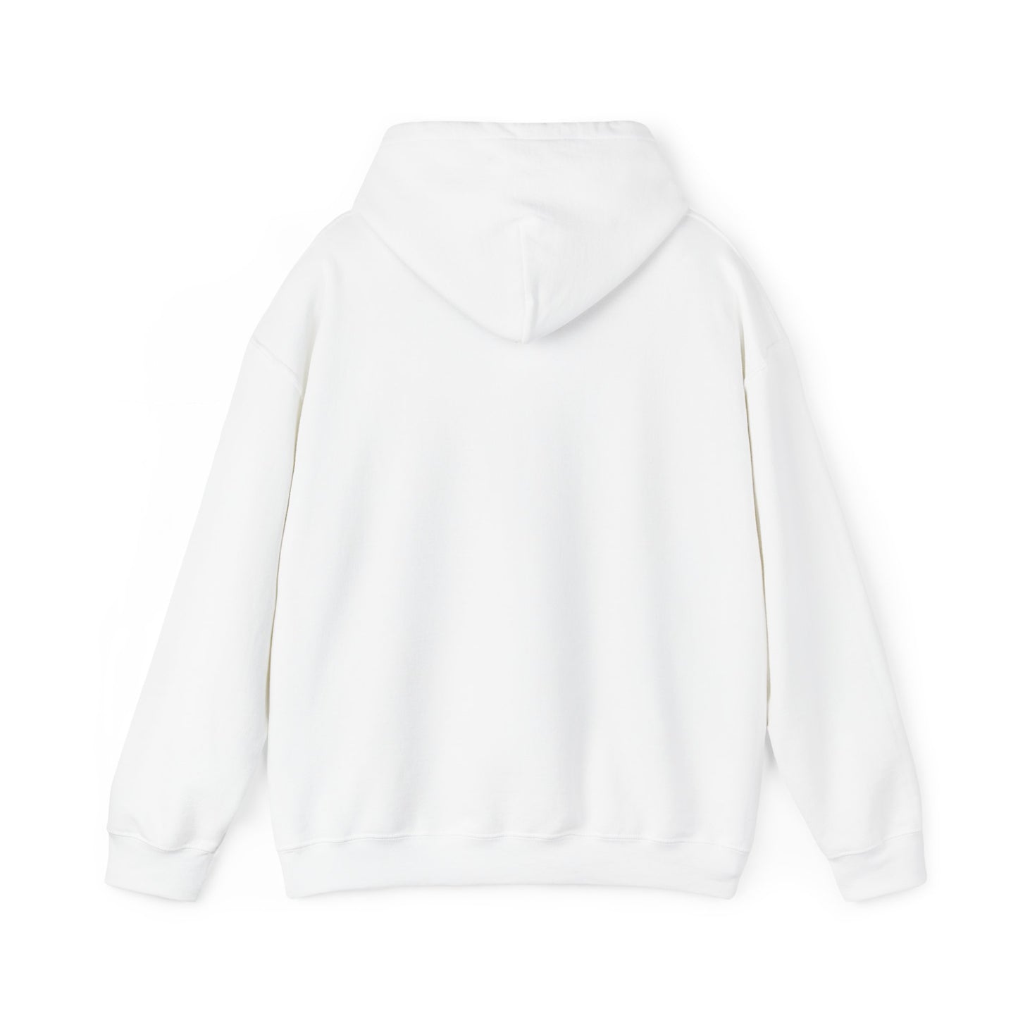 10520 if you know, you know unisex hoodie