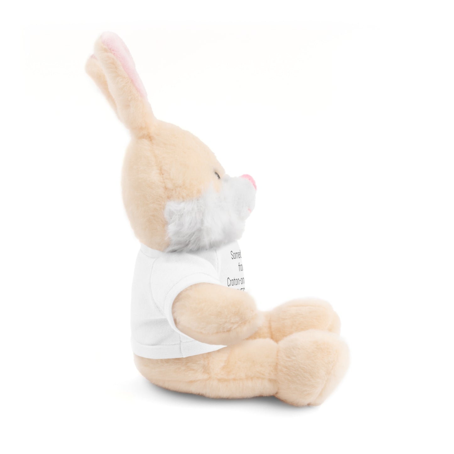 Some BUNNY from Croton-on-Hudson Loves you stuffie
