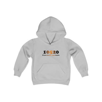 10520 Kids Hooded Sweatshirt