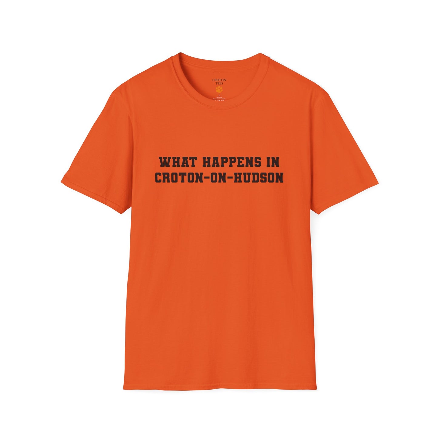 Mens / Unisex Tee "What Happens in Croton-on-Hudson stays in Croton-on-Hudson" light colors