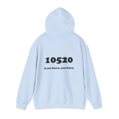 80's Dummy Light postcard / 10520 if you know pullover unisex hoodie