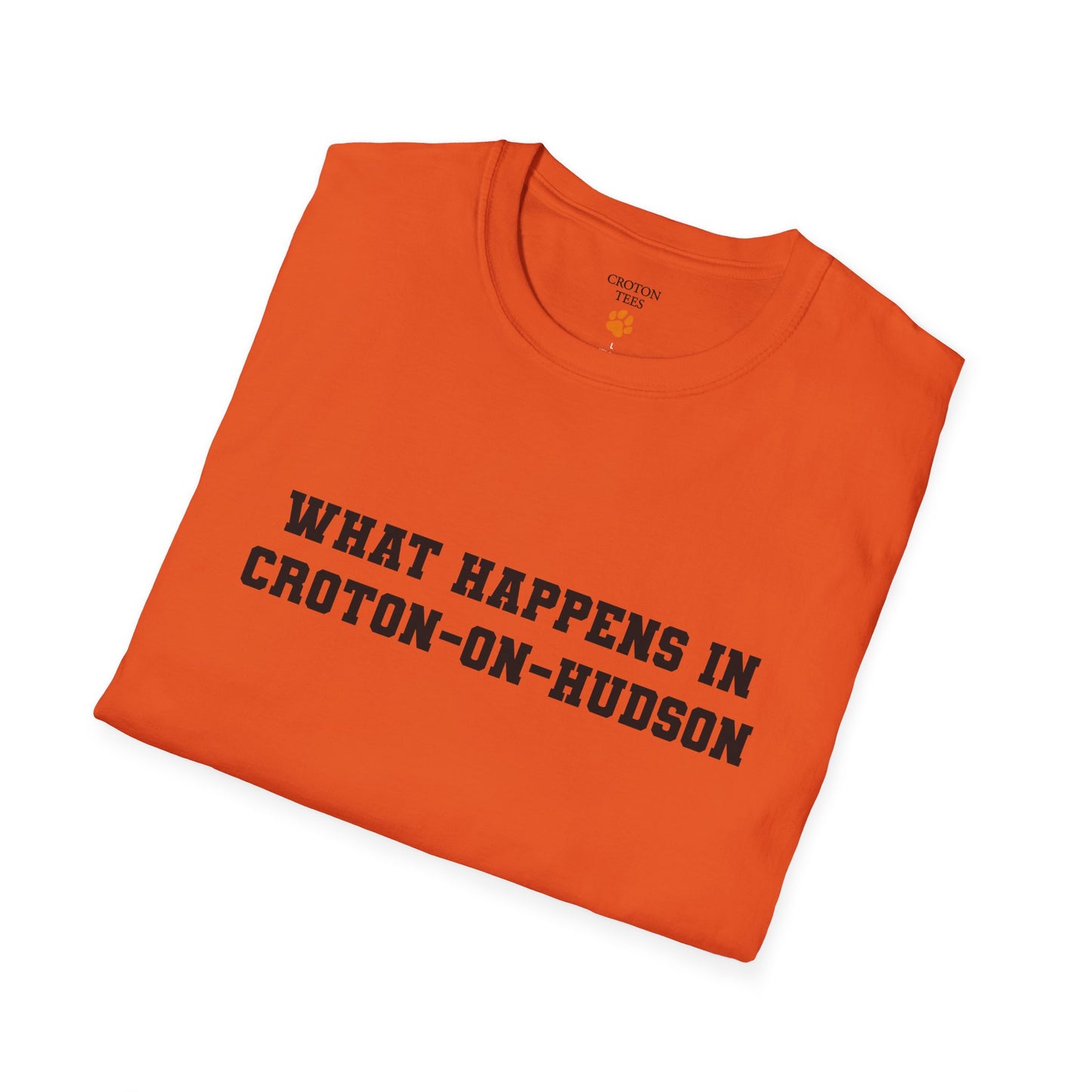 Mens / Unisex Tee "What Happens in Croton-on-Hudson stays in Croton-on-Hudson" light colors