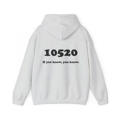 80's Dummy Light postcard / 10520 if you know pullover unisex hoodie
