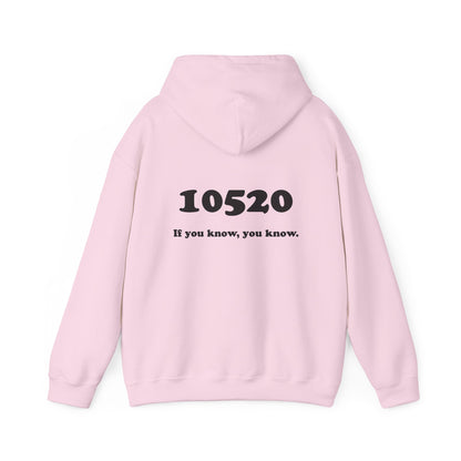 80's Dummy Light postcard / 10520 if you know pullover unisex hoodie