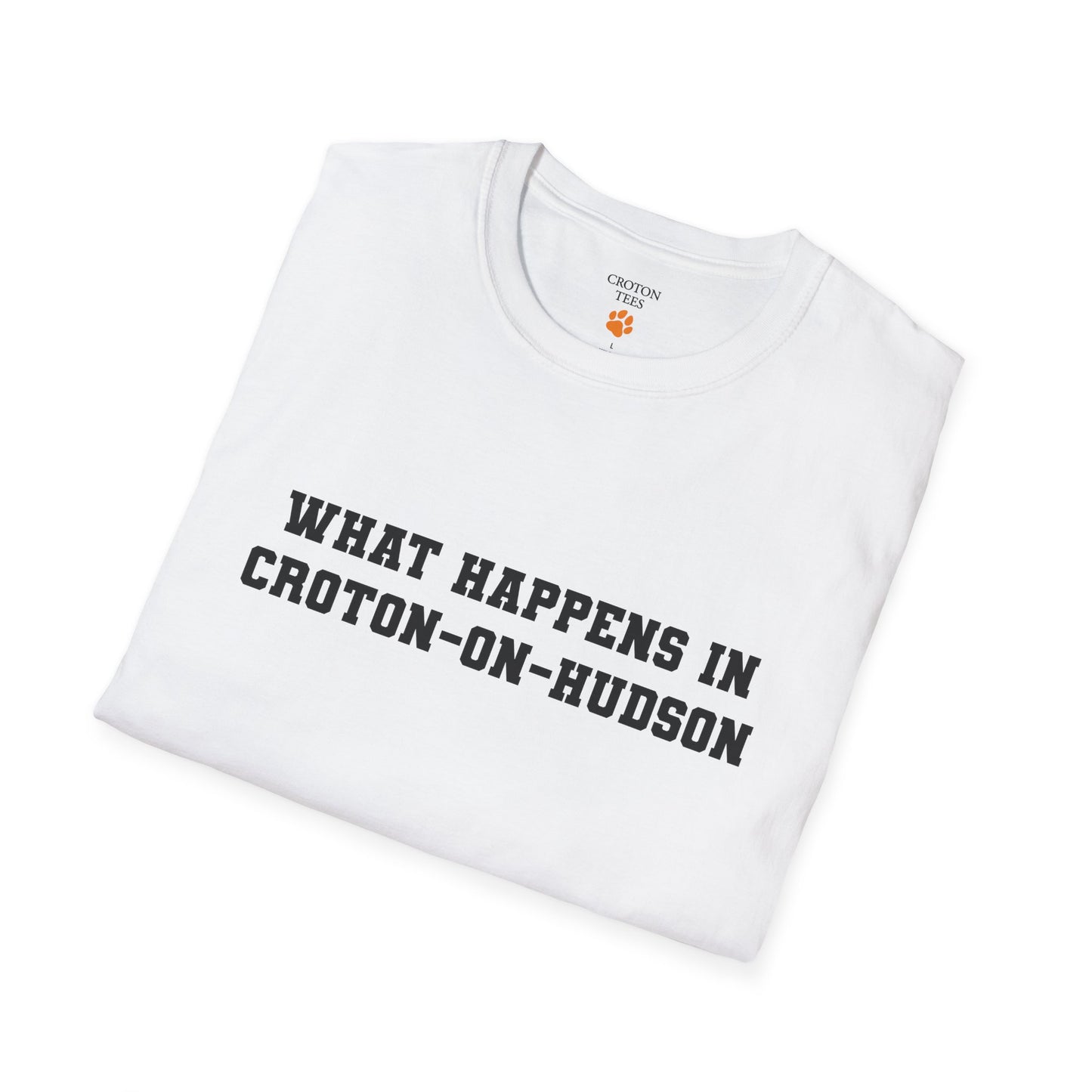 Mens / Unisex Tee "What Happens in Croton-on-Hudson stays in Croton-on-Hudson" light colors