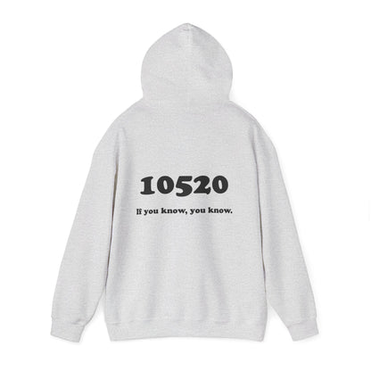 80's Dummy Light postcard / 10520 if you know pullover unisex hoodie