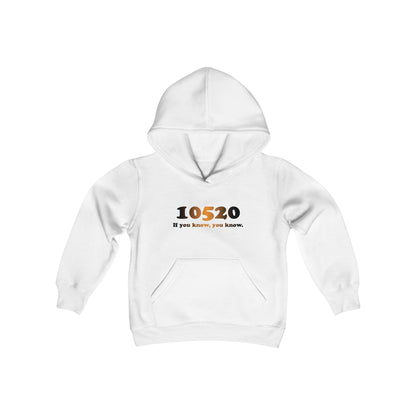 10520 Kids Hooded Sweatshirt