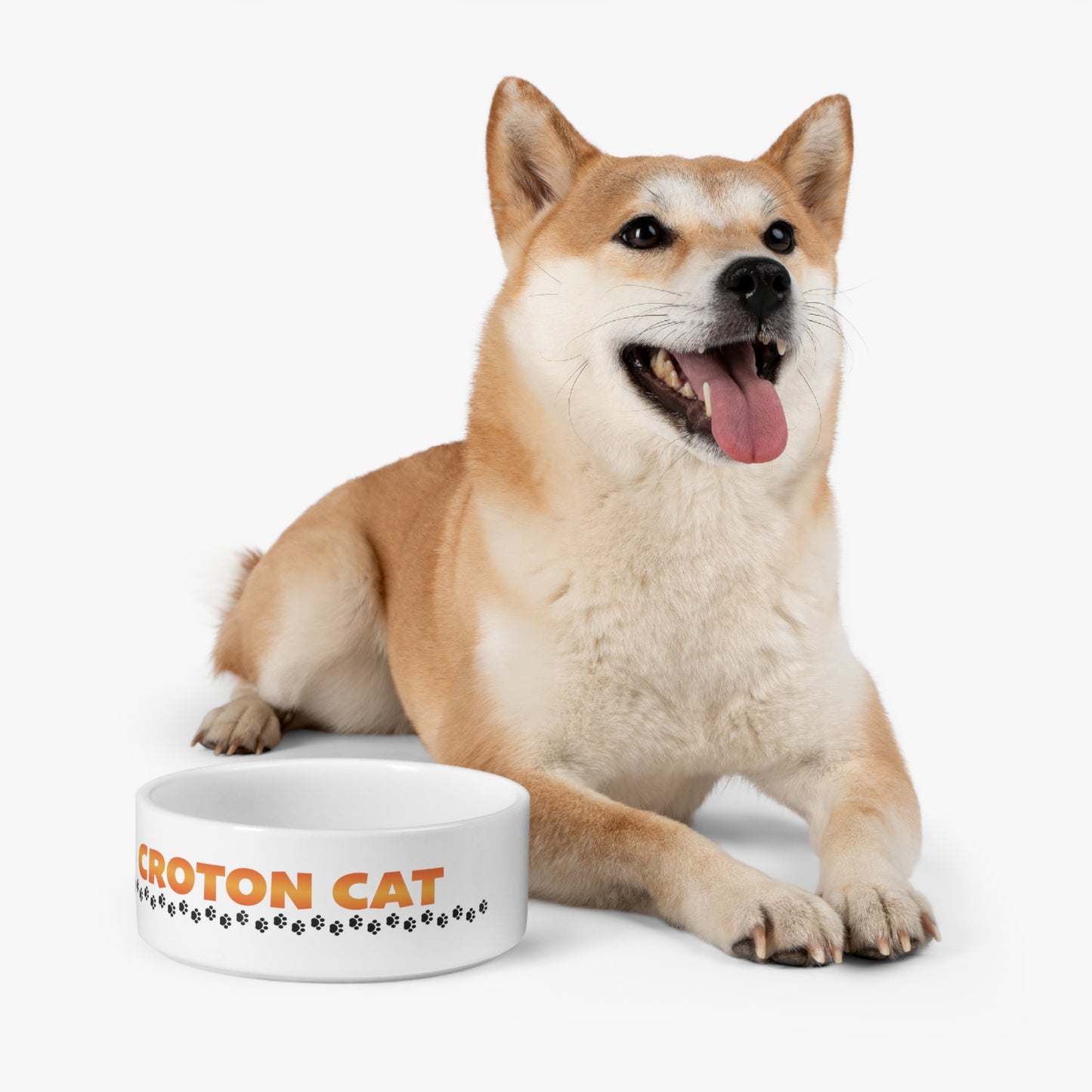 Croton Cat Pet Bowl