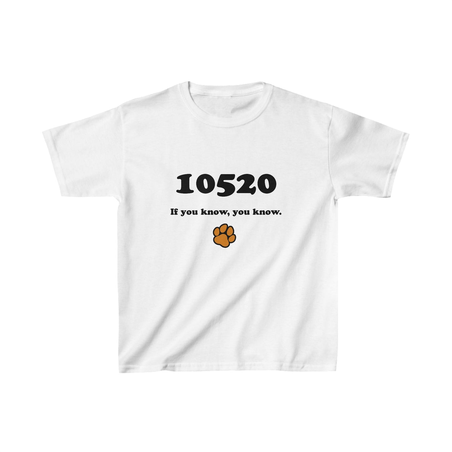 Kids 10520 If You Know, You Know tee (light colors)