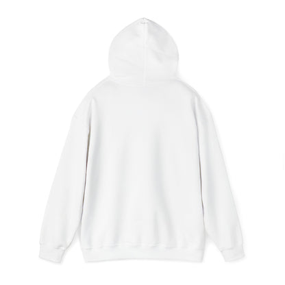 Dummy Light / Pride Unisex Pullover Hoodie