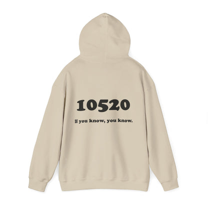 80's Dummy Light postcard / 10520 if you know pullover unisex hoodie
