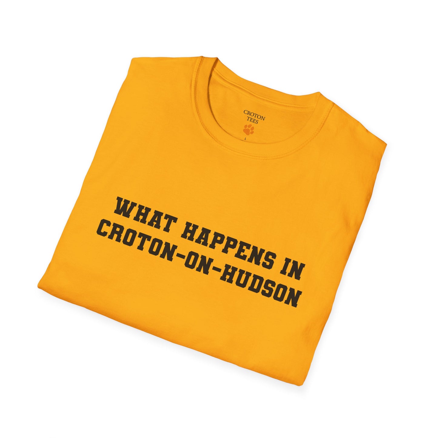 Mens / Unisex Tee "What Happens in Croton-on-Hudson stays in Croton-on-Hudson" light colors