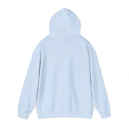 Take me to the River Unisex Pullover Hoodie