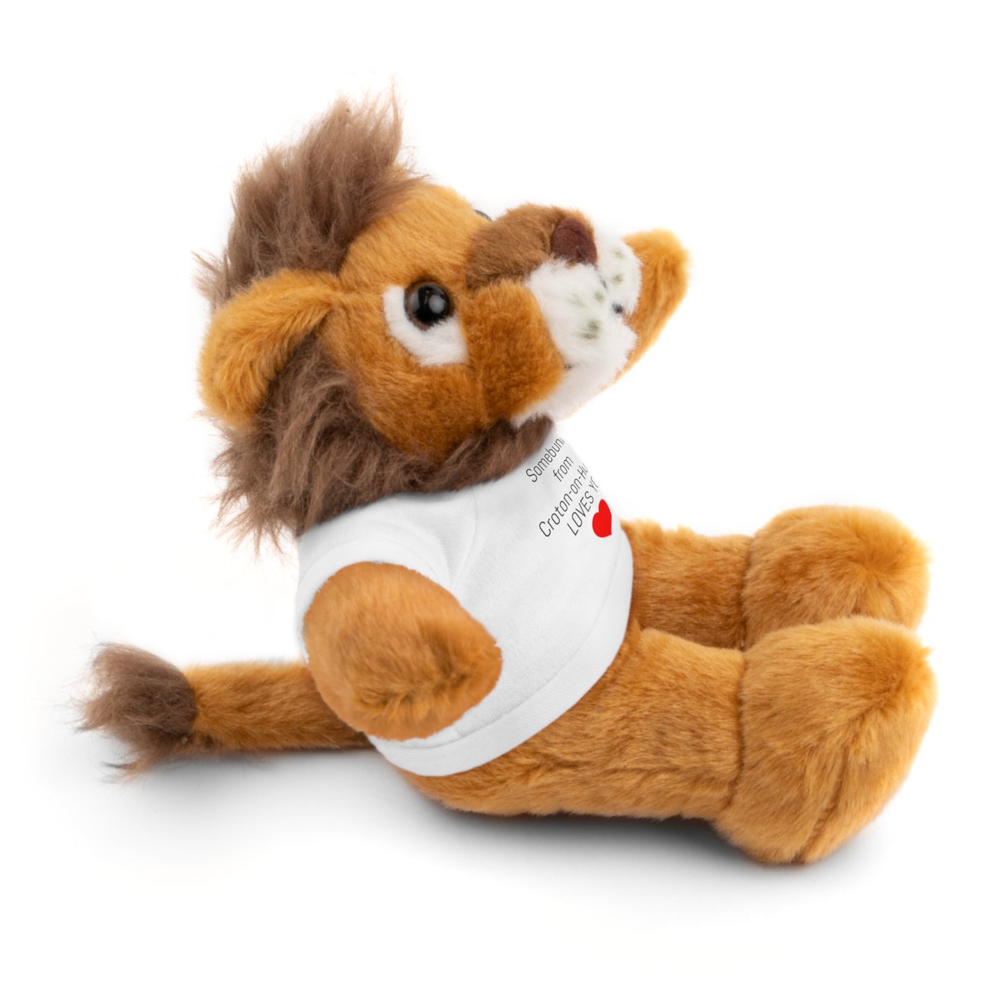Some BUNNY from Croton-on-Hudson Loves you stuffie