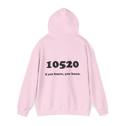 80's Dummy Light postcard / 10520 if you know pullover unisex hoodie
