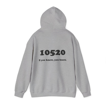 80's Dummy Light postcard / 10520 if you know pullover unisex hoodie