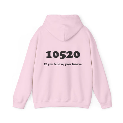80's Dummy Light postcard / 10520 if you know pullover unisex hoodie