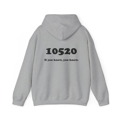 80's Dummy Light postcard / 10520 if you know pullover unisex hoodie