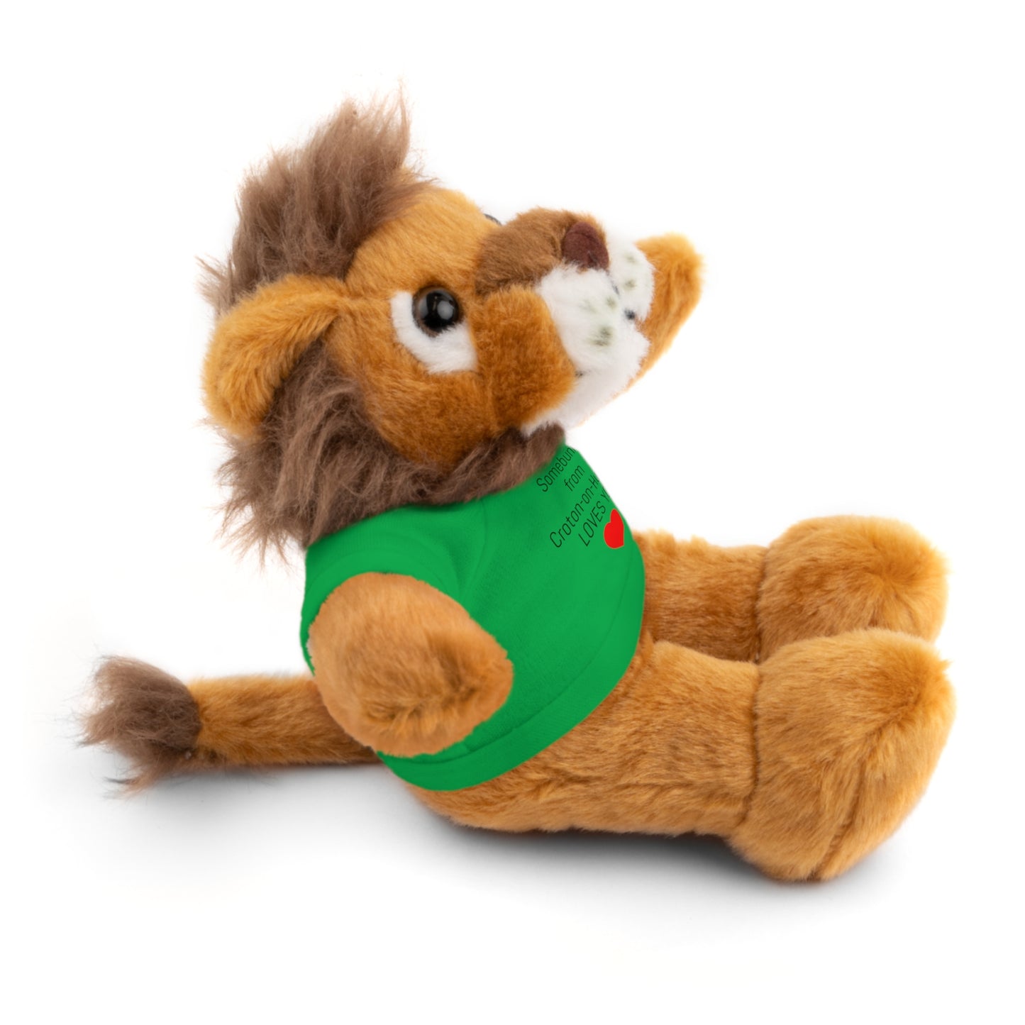 Some BUNNY from Croton-on-Hudson Loves you stuffie