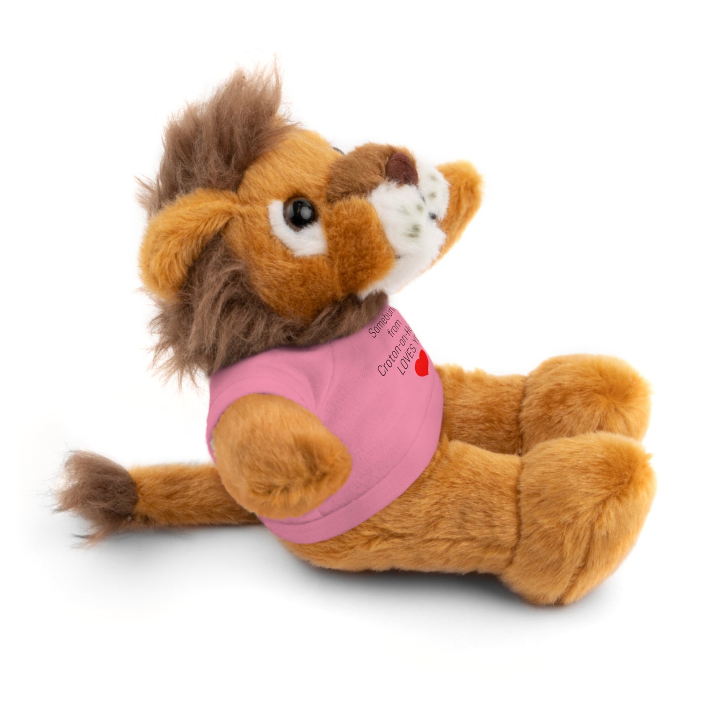 Some BUNNY from Croton-on-Hudson Loves you stuffie