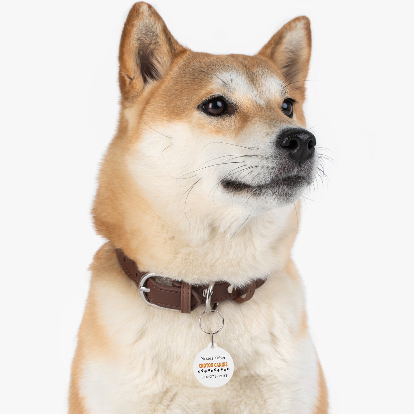 PERSONALIZED Dog ID / Croton Canine Tag