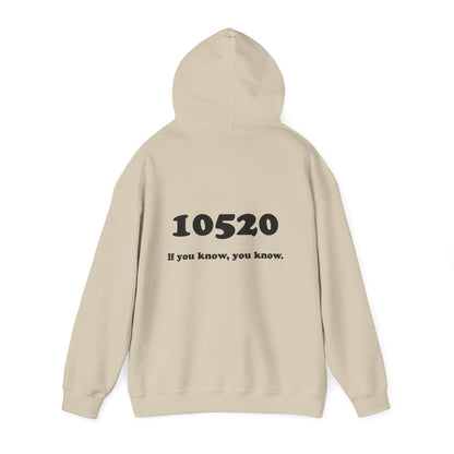 80's Dummy Light postcard / 10520 if you know pullover unisex hoodie