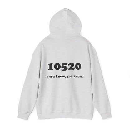 80's Dummy Light postcard / 10520 if you know pullover unisex hoodie