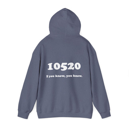 80's Dummy Light postcard / 10520 if you know pullover unisex hoodie