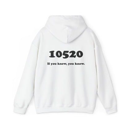 80's Dummy Light postcard / 10520 if you know pullover unisex hoodie