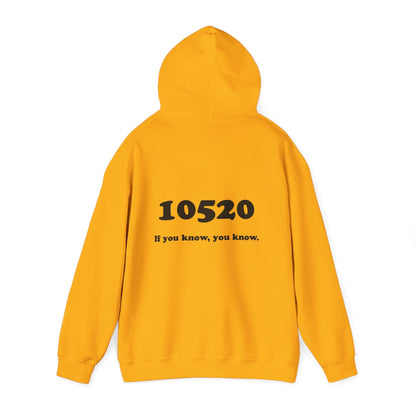 80's Dummy Light postcard / 10520 if you know pullover unisex hoodie