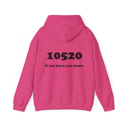 80's Dummy Light postcard / 10520 if you know pullover unisex hoodie